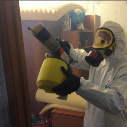 Уничтожение клопов в квартире. Аркадак